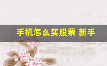 手机怎么买股票 新手入门(手机怎么样才能买股票)_https://www.brunchezvous.com_旅游景点_第1张